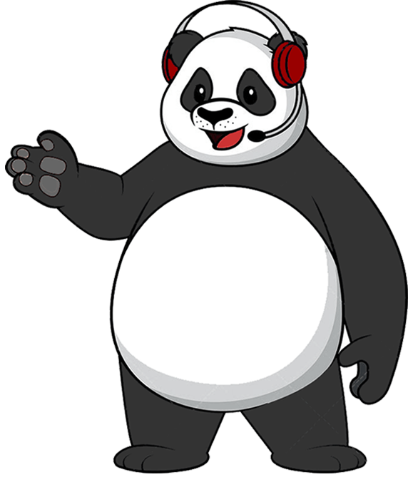 Contact Website Pandas for Web Design, Development & Digital Marketing