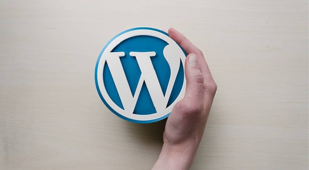 Wordpress Web Design Agency

