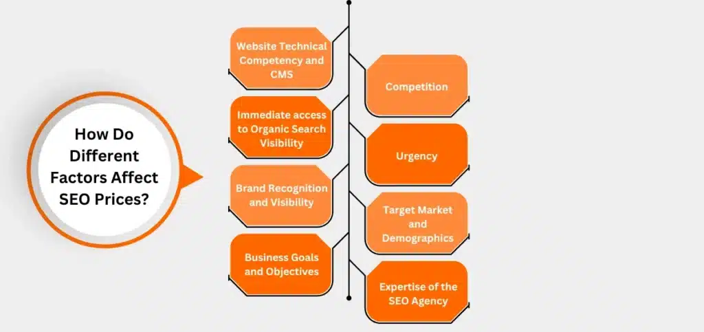 How Do Different Factors Affect SEO Prices